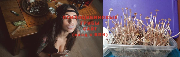 ешки Абаза