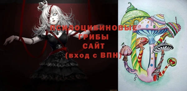 ешки Абаза