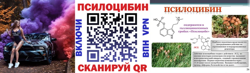 как найти   Вичуга  Псилоцибиновые грибы Cubensis 