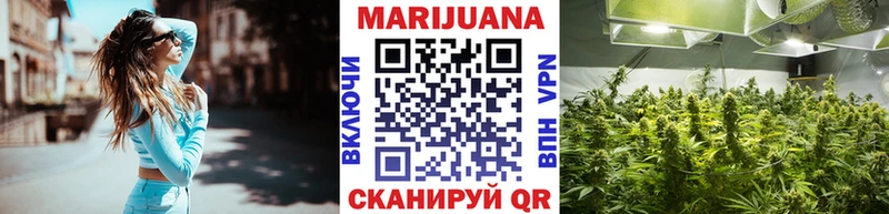 KRAKEN маркетплейс  Вичуга  Шишки марихуана индика 
